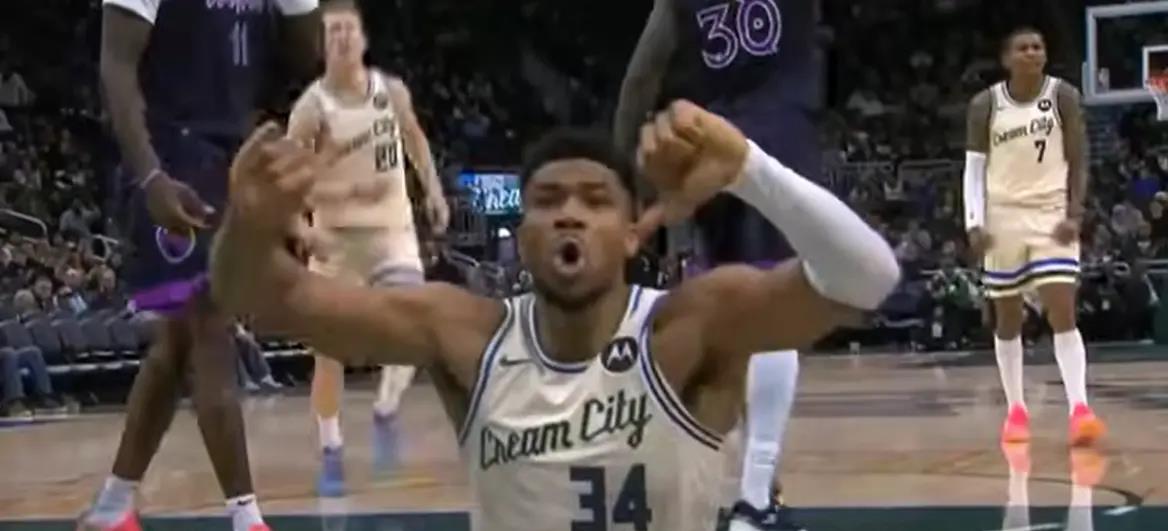 5376207626003808 cats