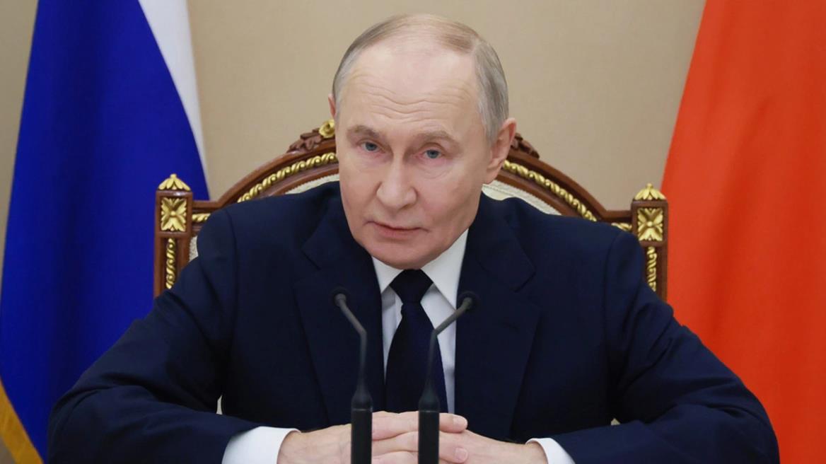 5376289135754550 image