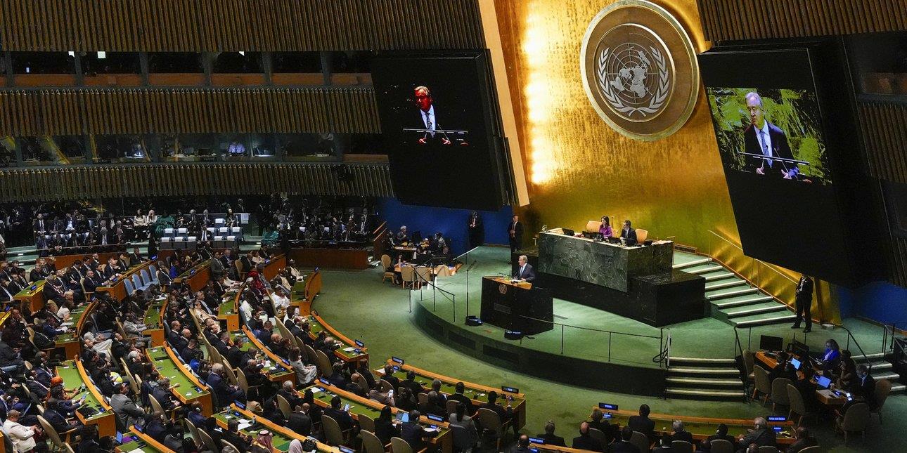 5376943805274289 image