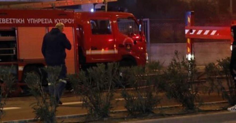 5377003006672785 cats