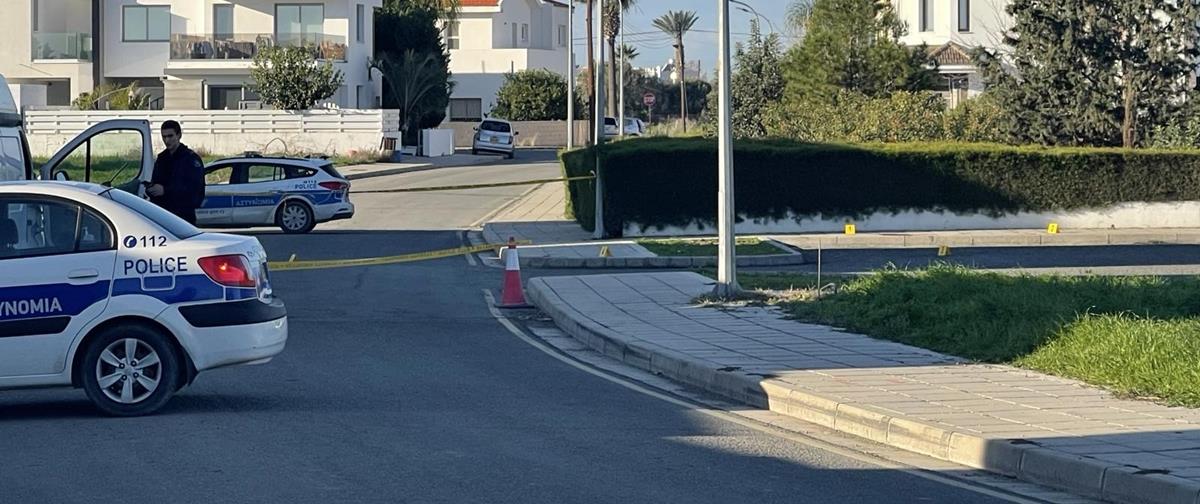 5377011216504420 cats