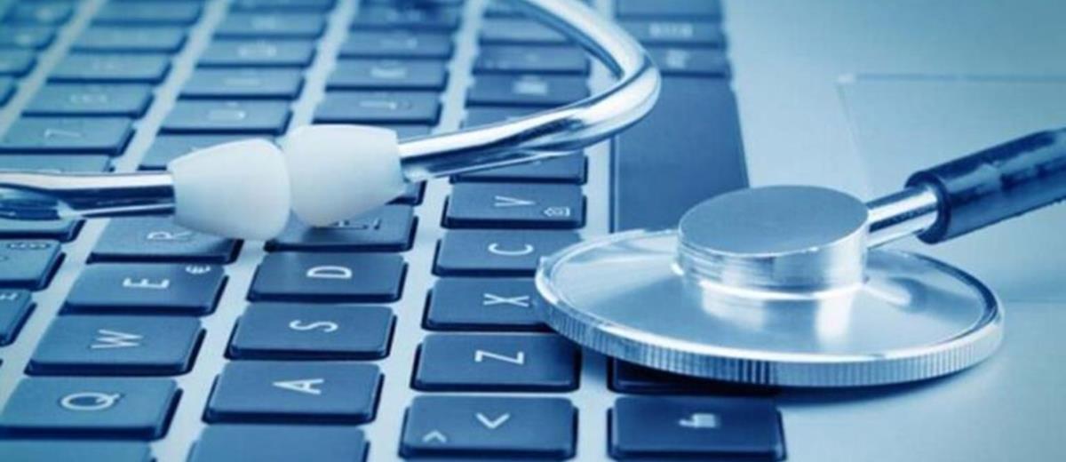 5377035280013697 cats