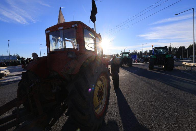 5377059699945696 image