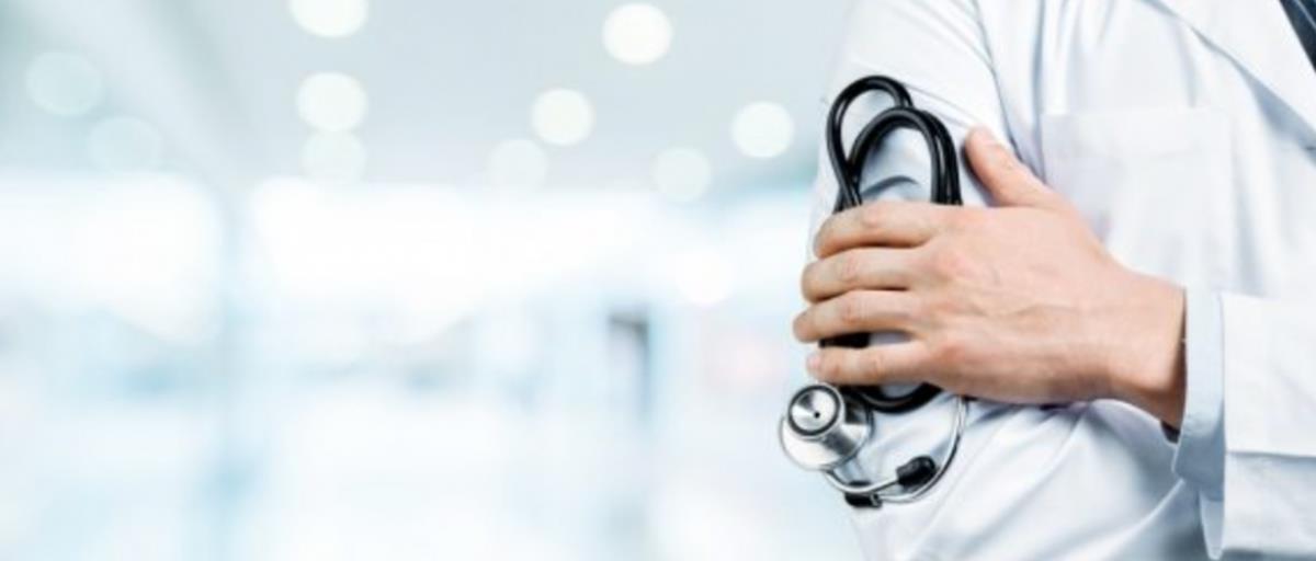 5377084401644231 cats