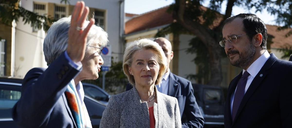 5377172831579594 cats