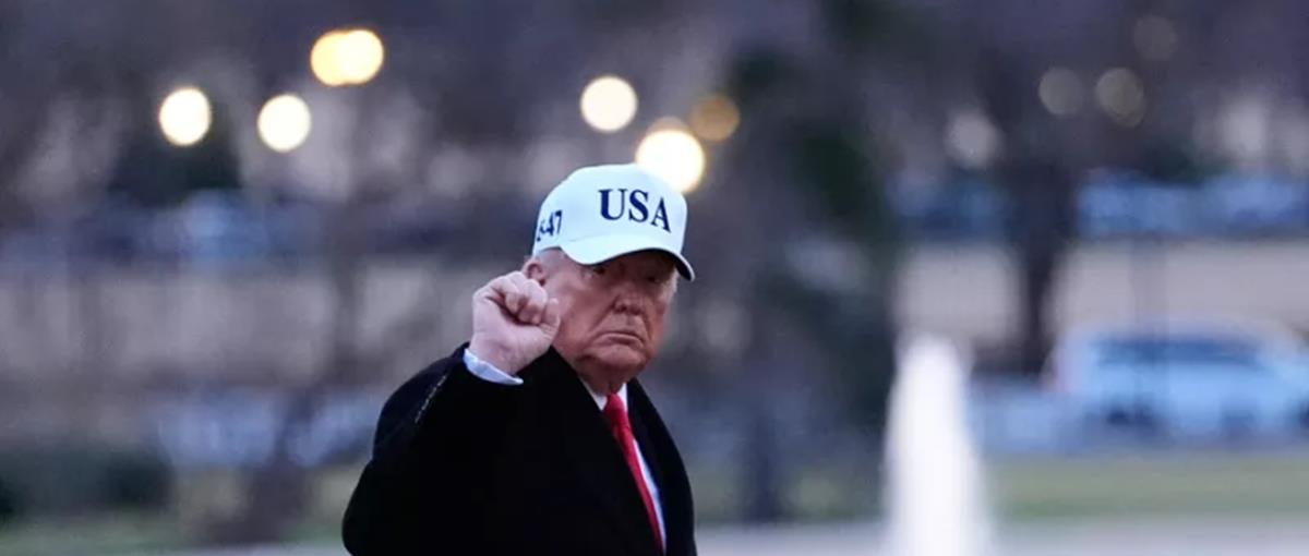 5377192753653070 cats