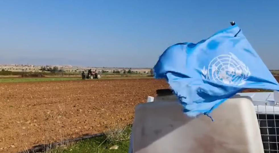 5377270730879578 image