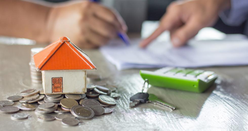 5377292356334415 image