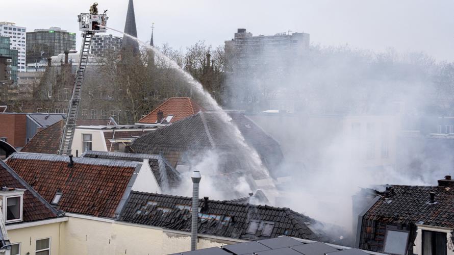 5377349375952236 image