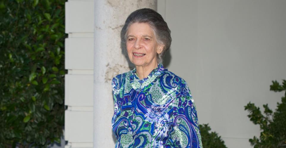 5377372168884716 image