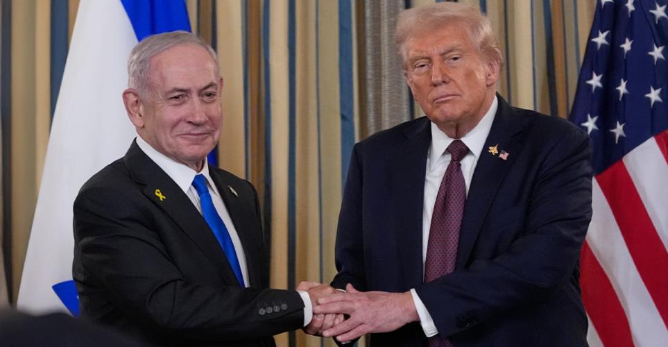 5377432004118502 image