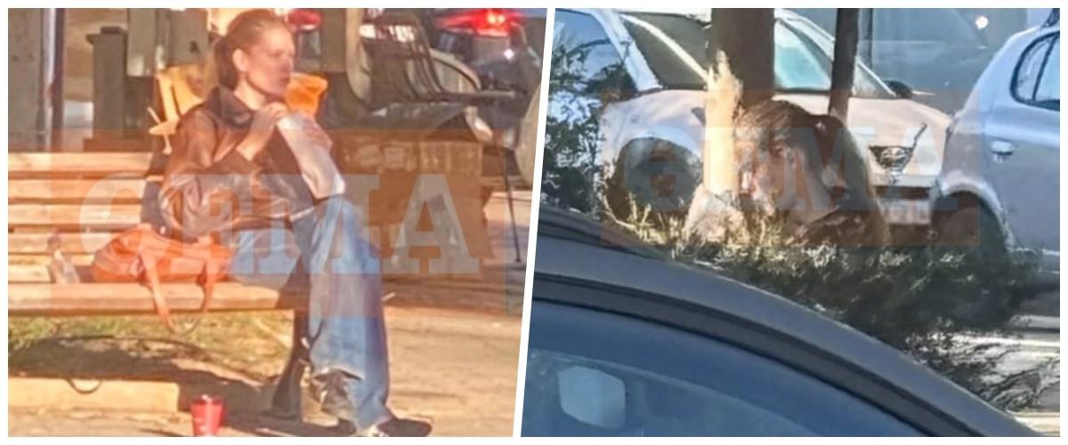 5377810899415048 collage