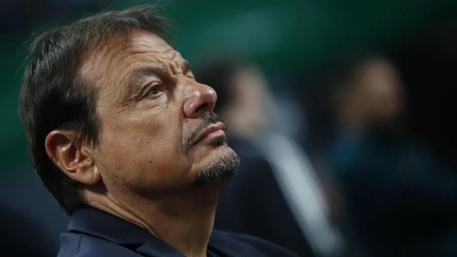 5377838613418304 ataman-7-1200x800