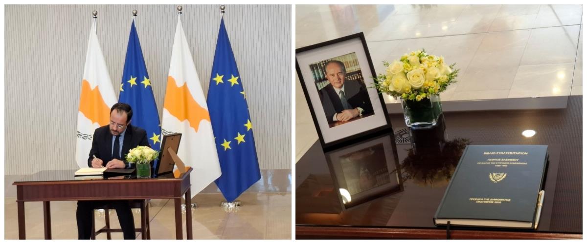 5377924636480859 collage