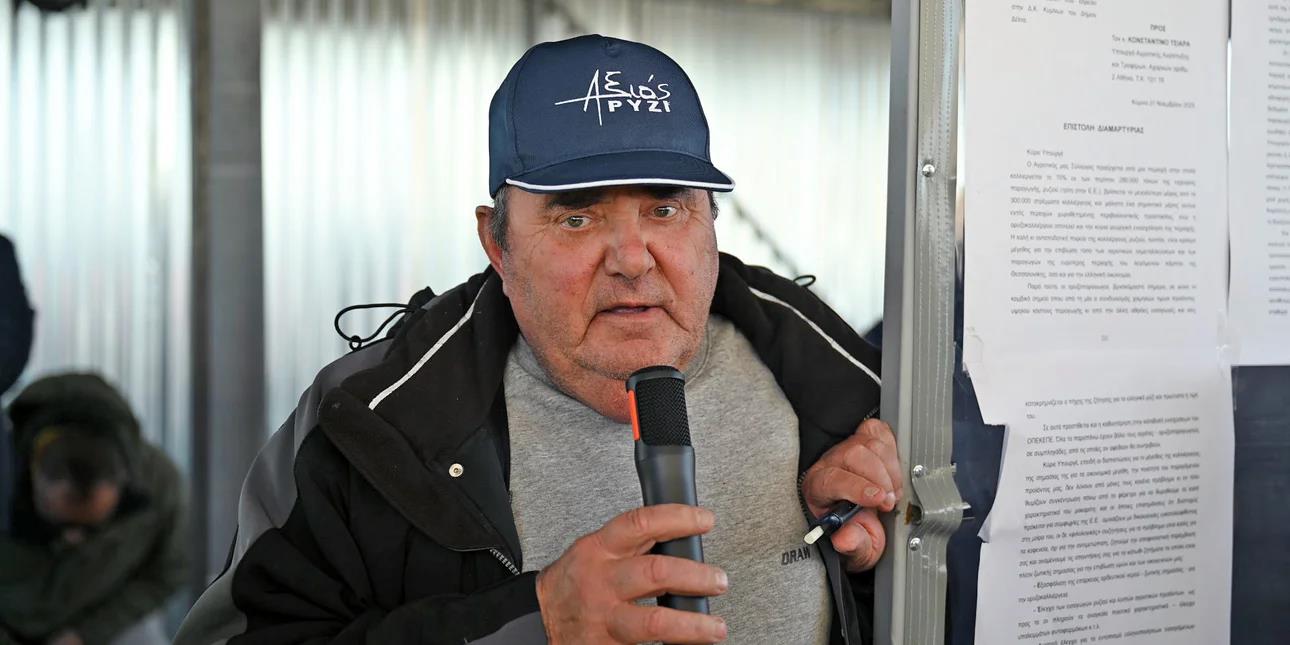 5378089239141683 image