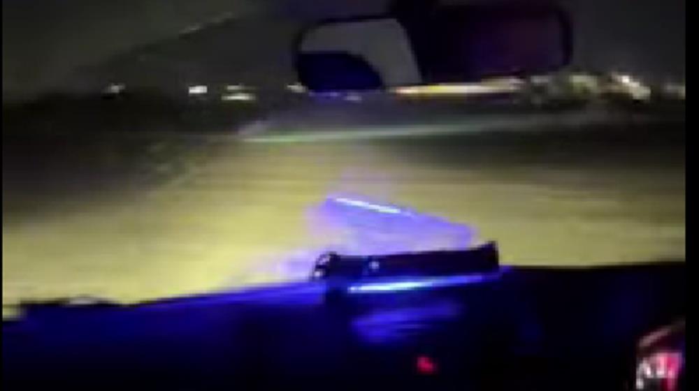 5378147880375072 cats