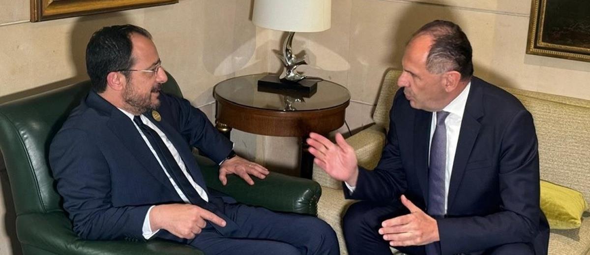 5378273398478480 cats