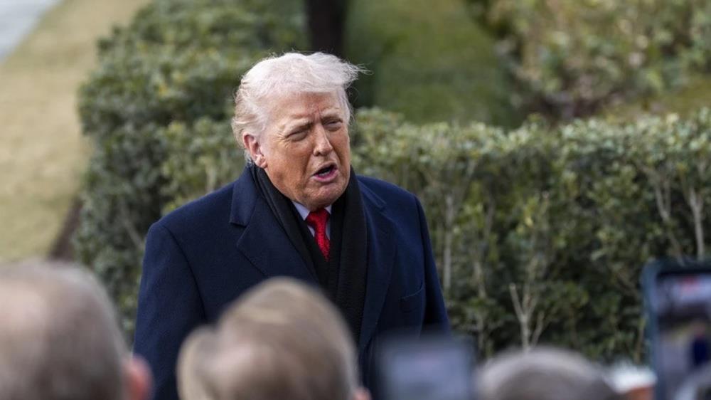 5378334839410591 cats