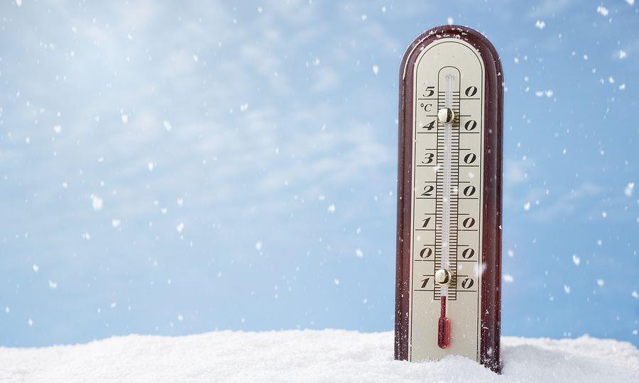 5378675117128858 image