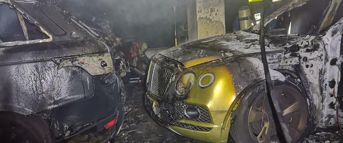 5378736479025697 image