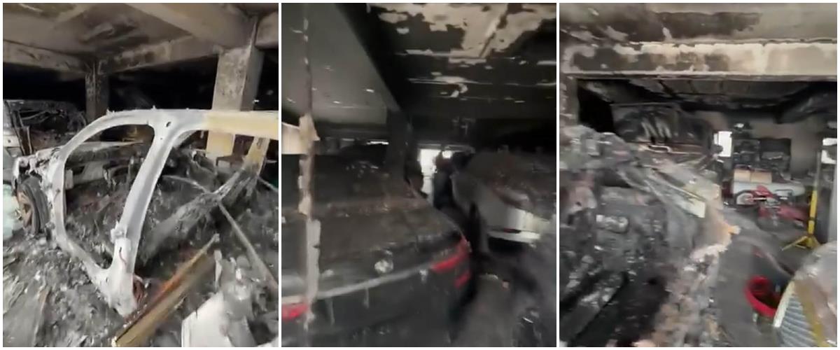 5379220426860984 cats