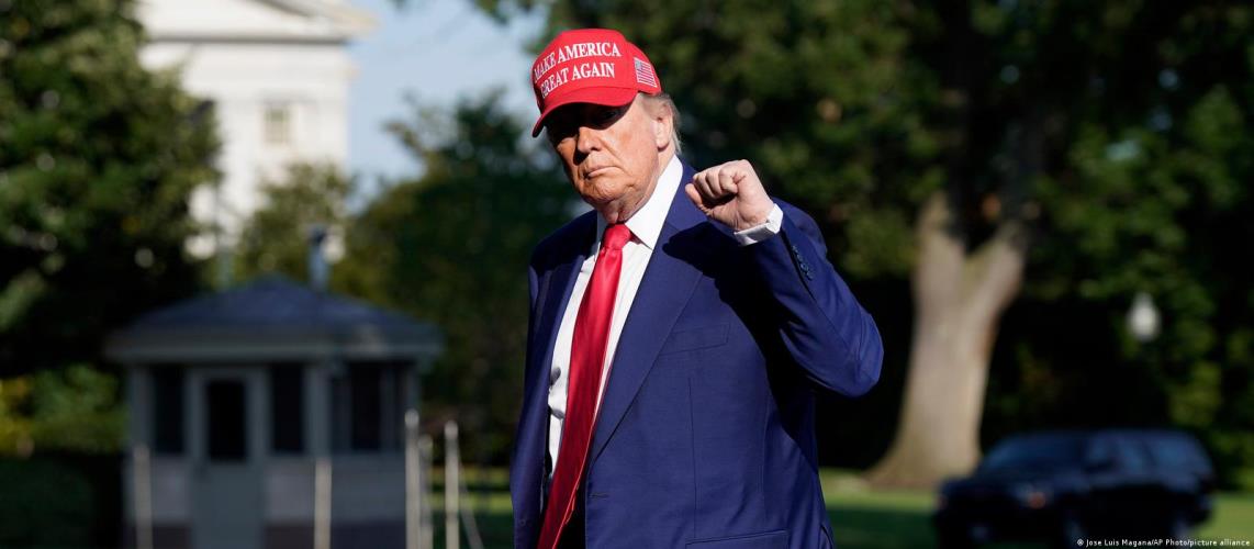 5379539087449057 image