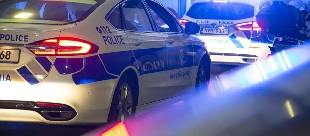 5379550052397553 cats