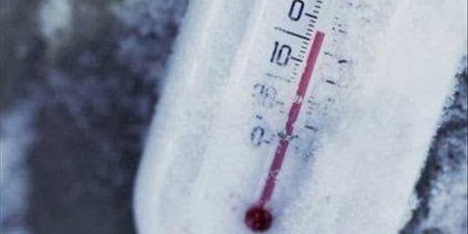 5379561990025685 image