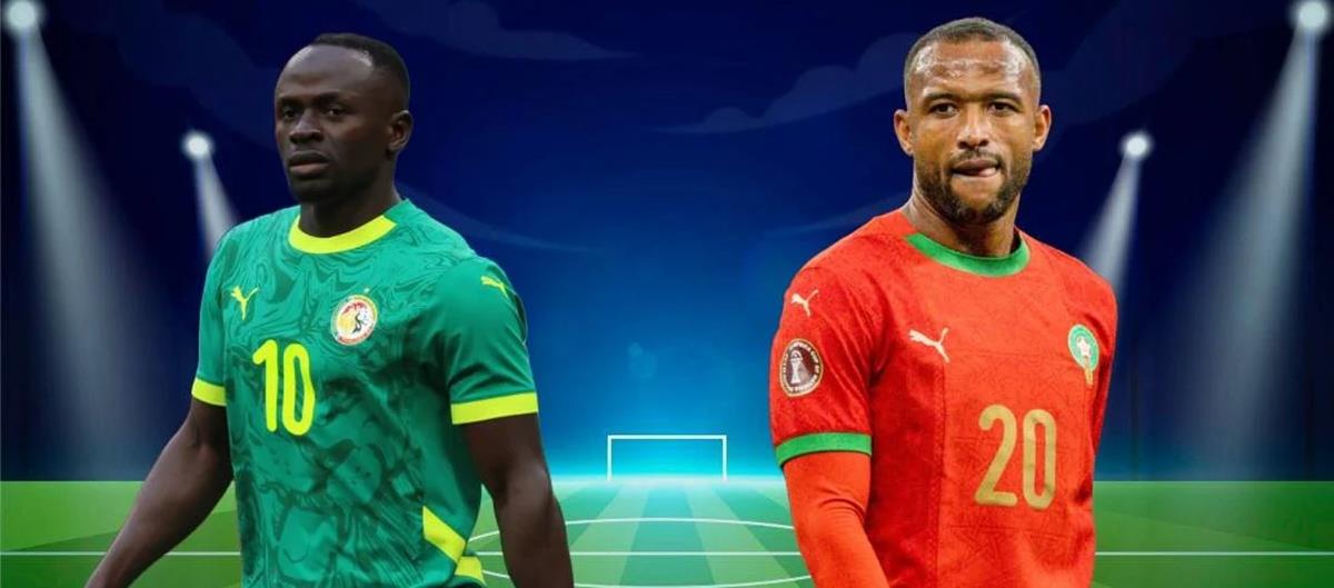 5379571820380181 cats