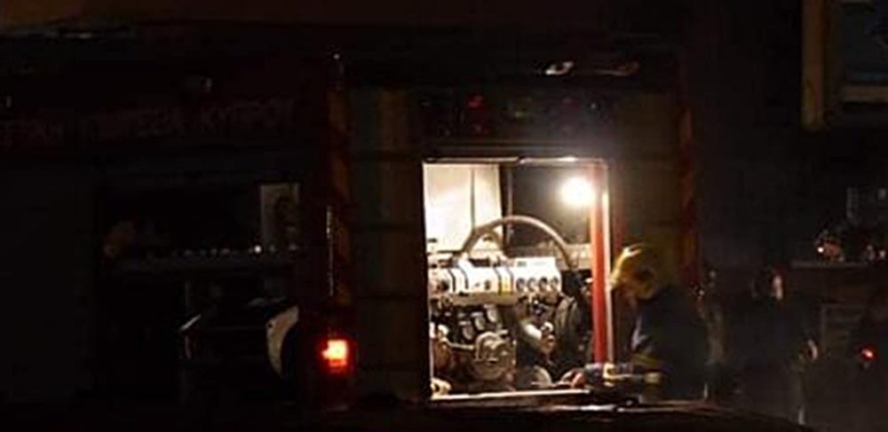 5379623057113658 cats