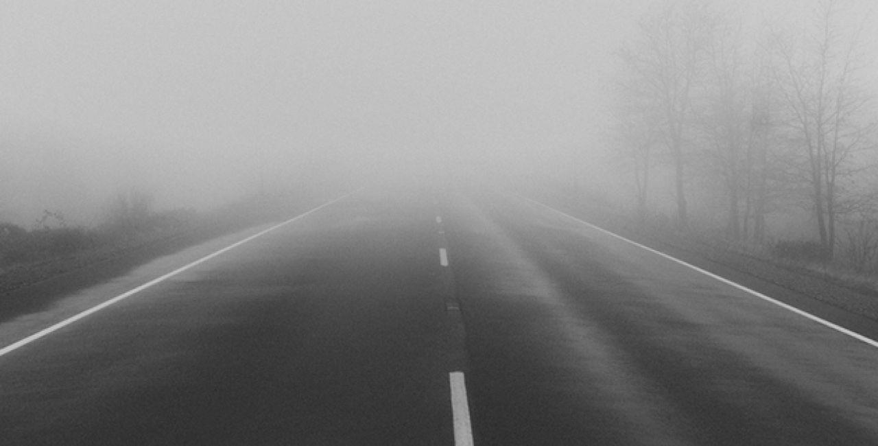 5379636692604269 image