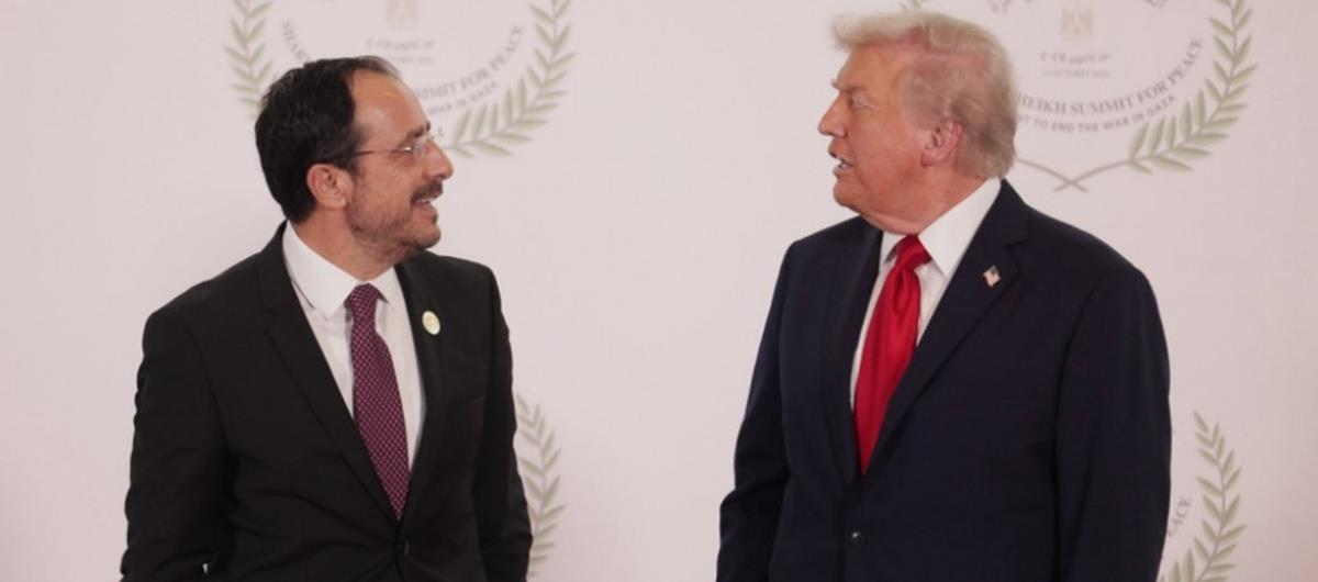 5379718362772441 cats