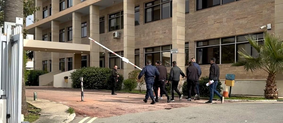 5379748244969599 cats