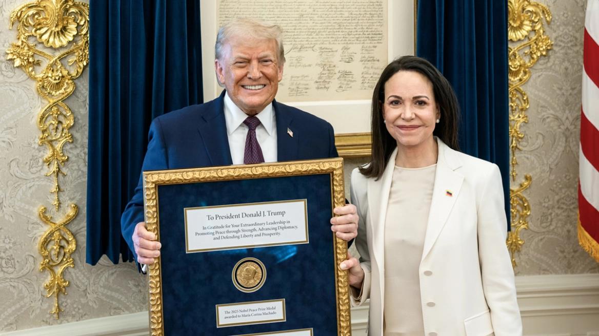 5379842054626182 image