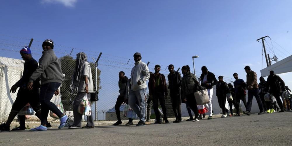 5379887341515347 cats