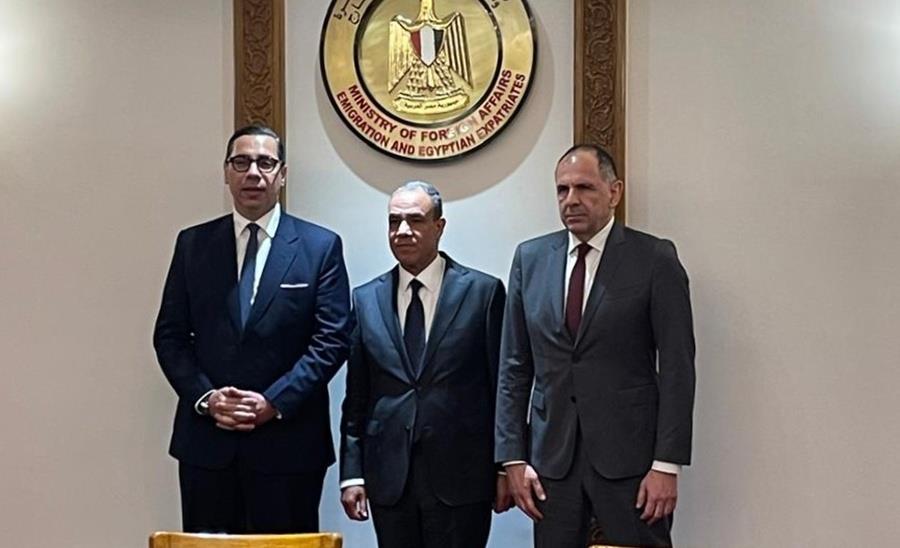 5379889436623482 cats