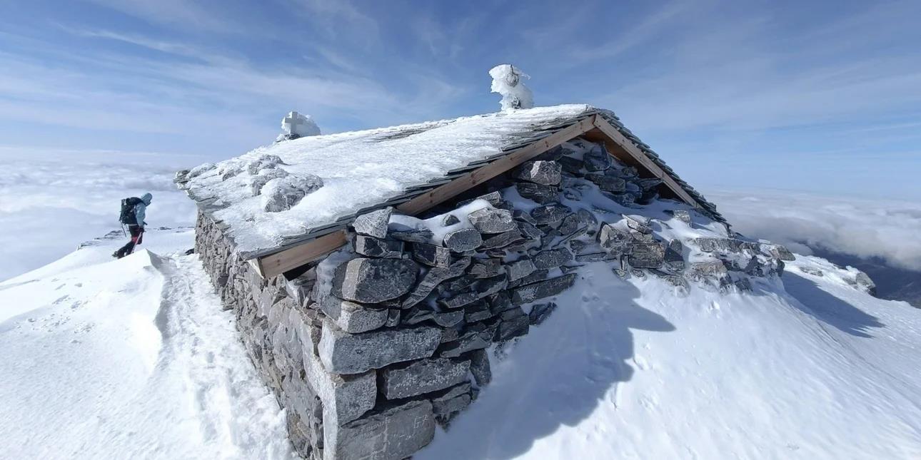 5379930297715586 image