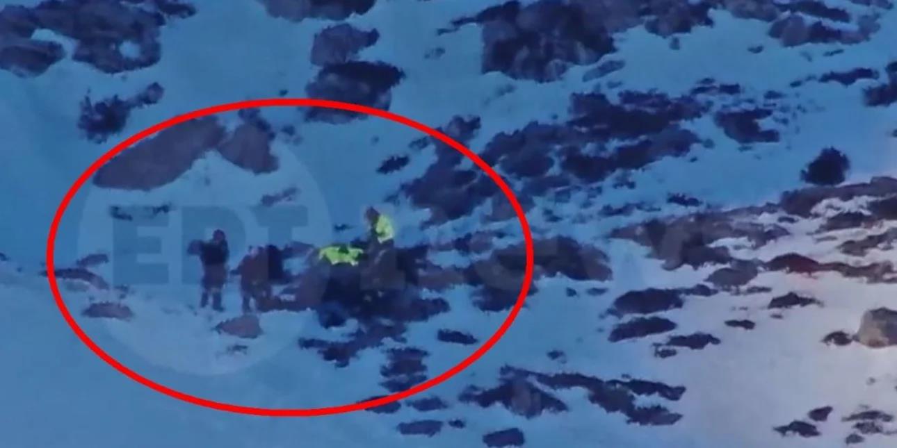 5379965336055608 image