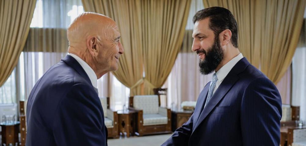 5380006802971590 cats