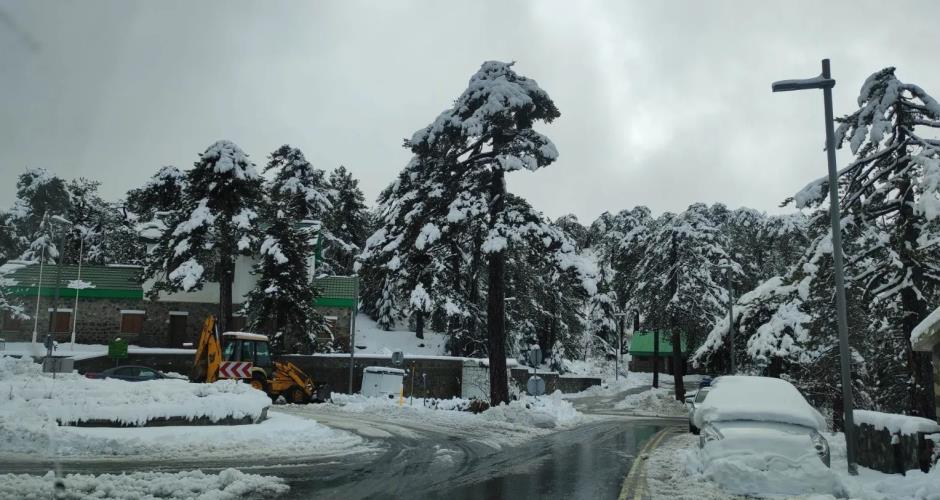 5380419068910365 image