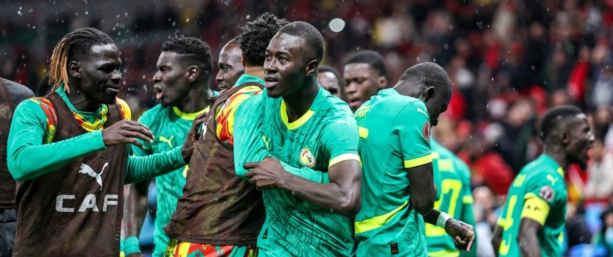 5380428608327285 cats