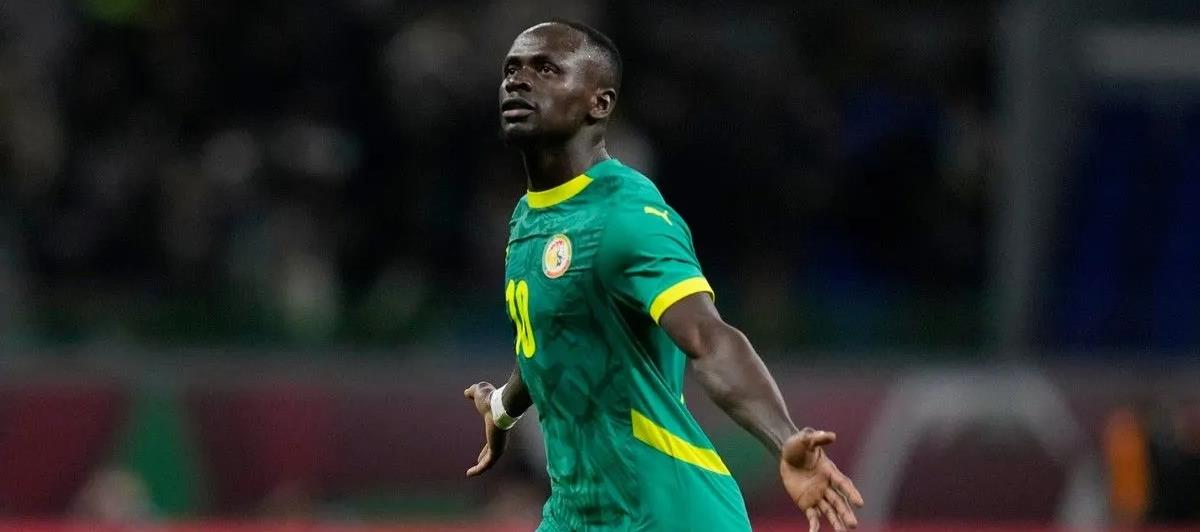 5380459945302990 cats