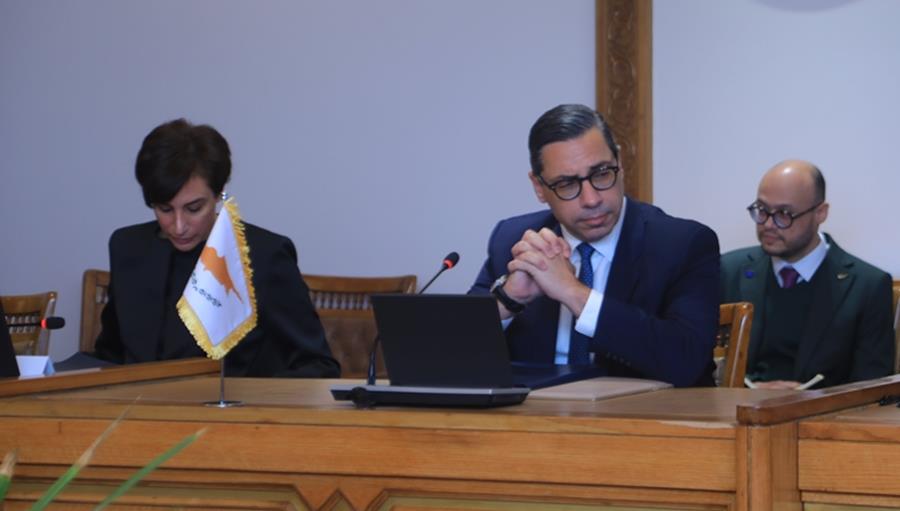 5380562840653932 cats