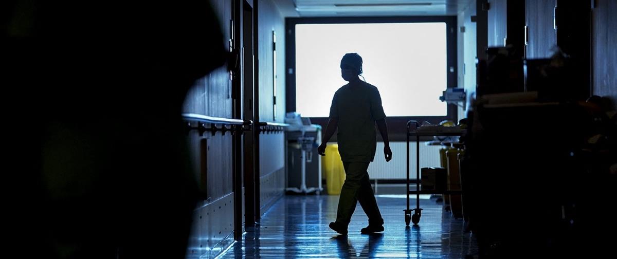 5380591349373114 cats