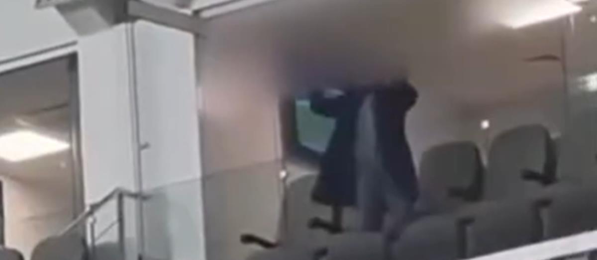 5380609437708152 image