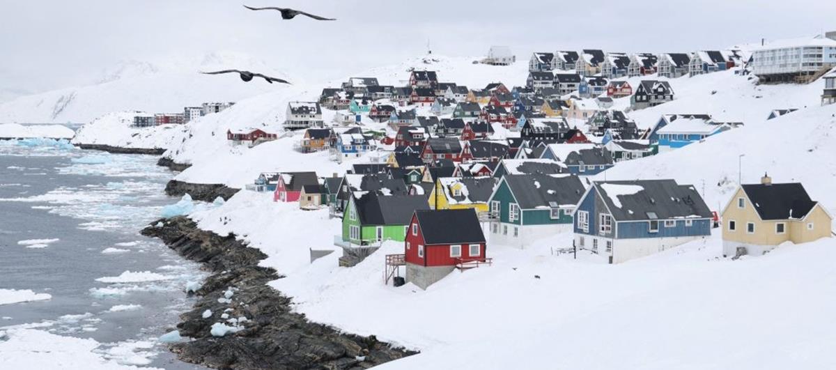 5380638423595543 cats