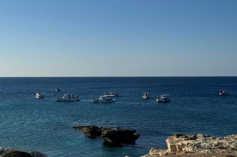 5380659634357849 image