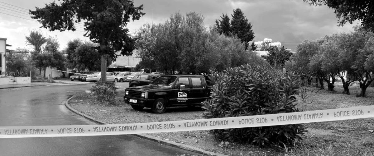 5380698437855757 cache 980x980 Analog medium 1377321 1347162 26 01 19 071959