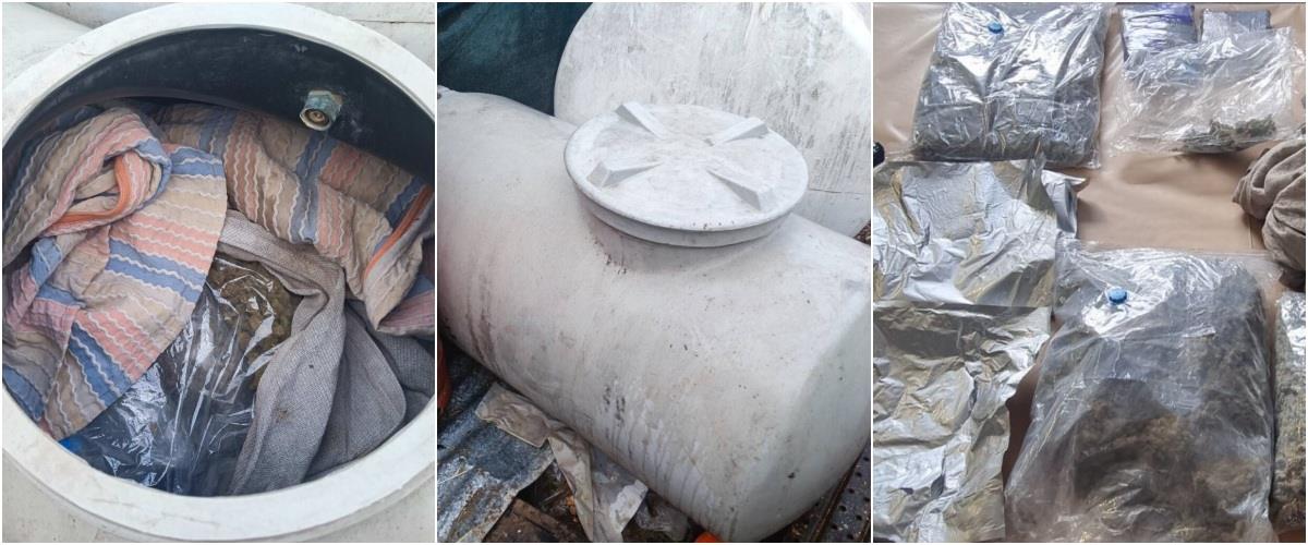 5380774053198738 collage2145552