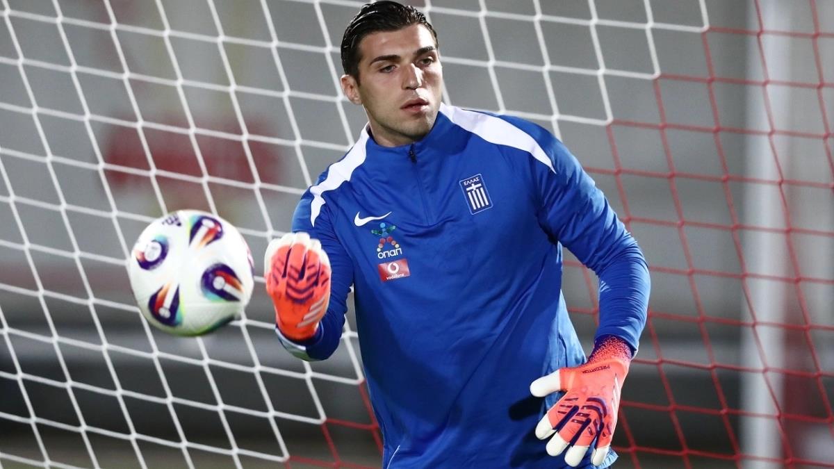 5380794936521667 image